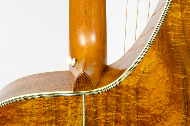 David Dart Dyer-Style Harp Guitar | #1-210 | May 2012