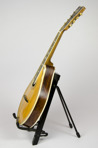 David Dart Mandolin #1 | 1966