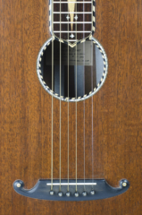 David Dart Mahogany Bowlback Steel Guitar - "Lady Steel" David Dart Mahogany Bowlback Steel Guitar - "Lady Steel"