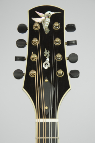 David Dart Hummingbird peghead inlay (abalone), from a Maple A5 Mandolin