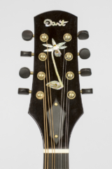 David Dart Calypso Orchid peghead inlay, from a Redwood A5 Mandolin