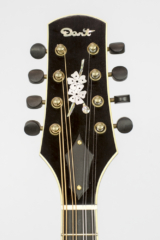 David Dart Cherry Blossom Inlay, from a Maple A5 Mandolin