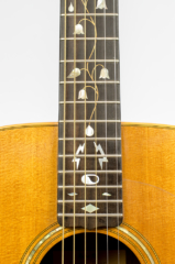 David Dart Tree of Life fingerboard inlay, from a Bi-Level Guitar