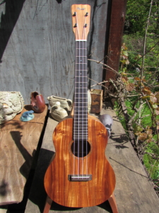 Dart Acacia Tenor Ukulele (X-braced)