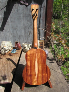 Dart Acacia Tenor Ukulele (X-braced)