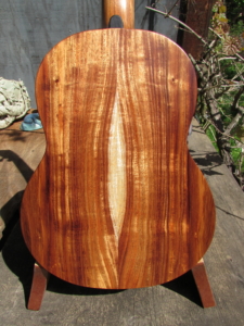 Dart Acacia Tenor Ukulele (X-braced)