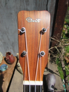 Dart Acacia Tenor Ukulele (ladder-braced)