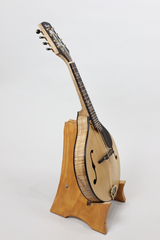 Custom spalted maple & spruce A5 David Dart mandolin with "magic mushroom & gnome" inlay