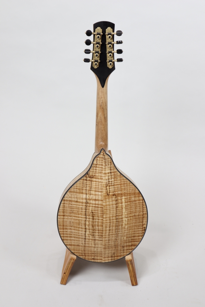 Custom spalted maple & spruce A5 David Dart mandolin with "magic mushroom & gnome" inlay