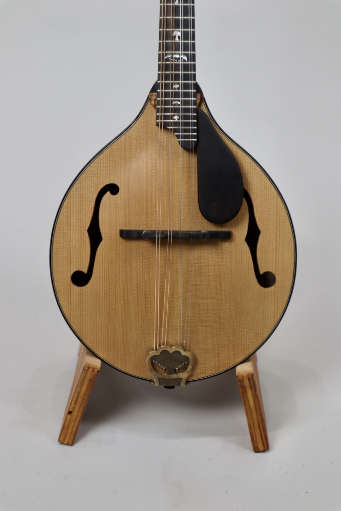 Custom spalted maple & spruce A5 David Dart mandolin with "magic mushroom & gnome" inlay