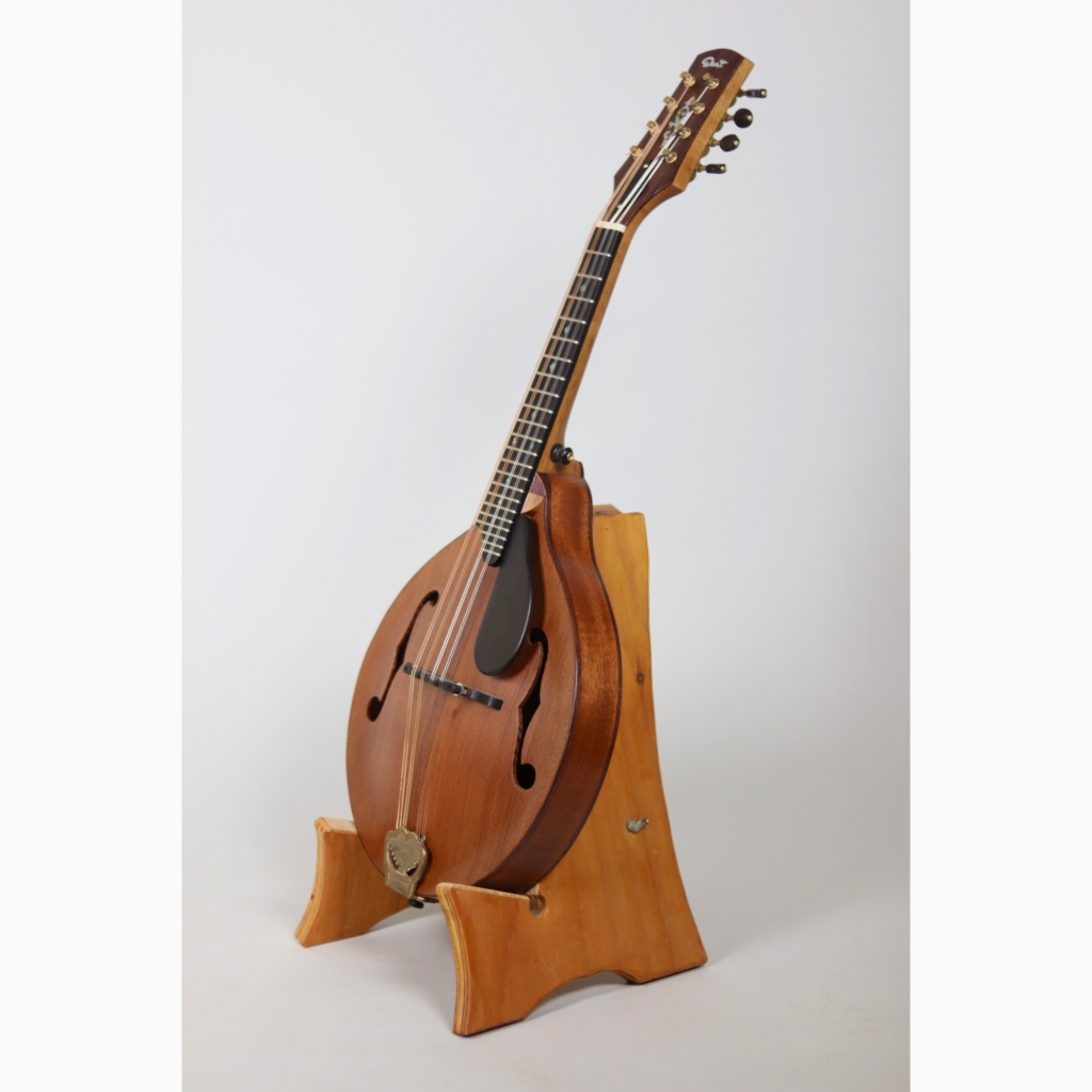 David Dart redwood & cherry A5 mandolin (2024)