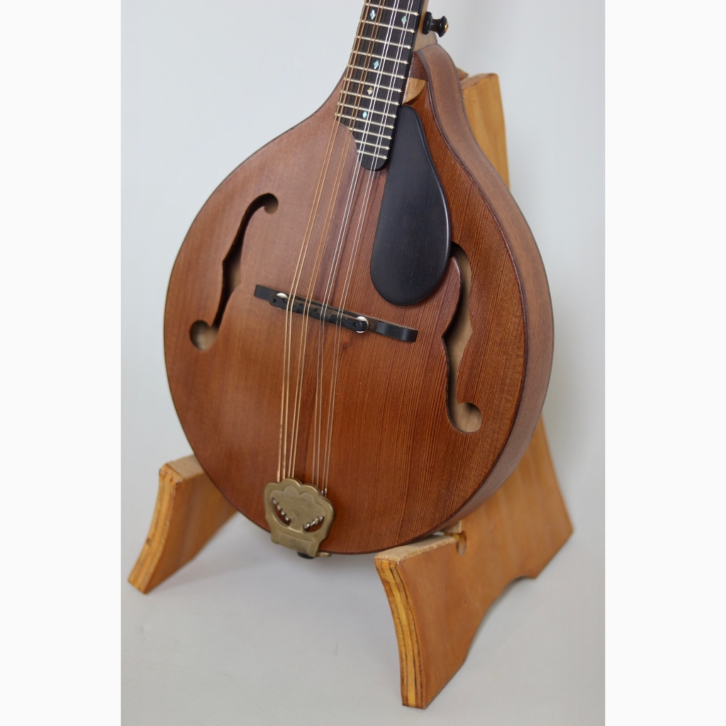 David Dart redwood & cherry A5 mandolin (2024)
