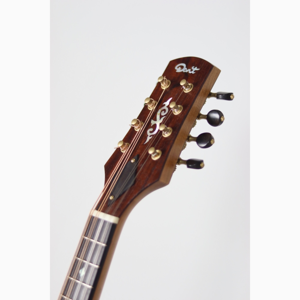 David Dart redwood & cherry A5 mandolin (2024)
