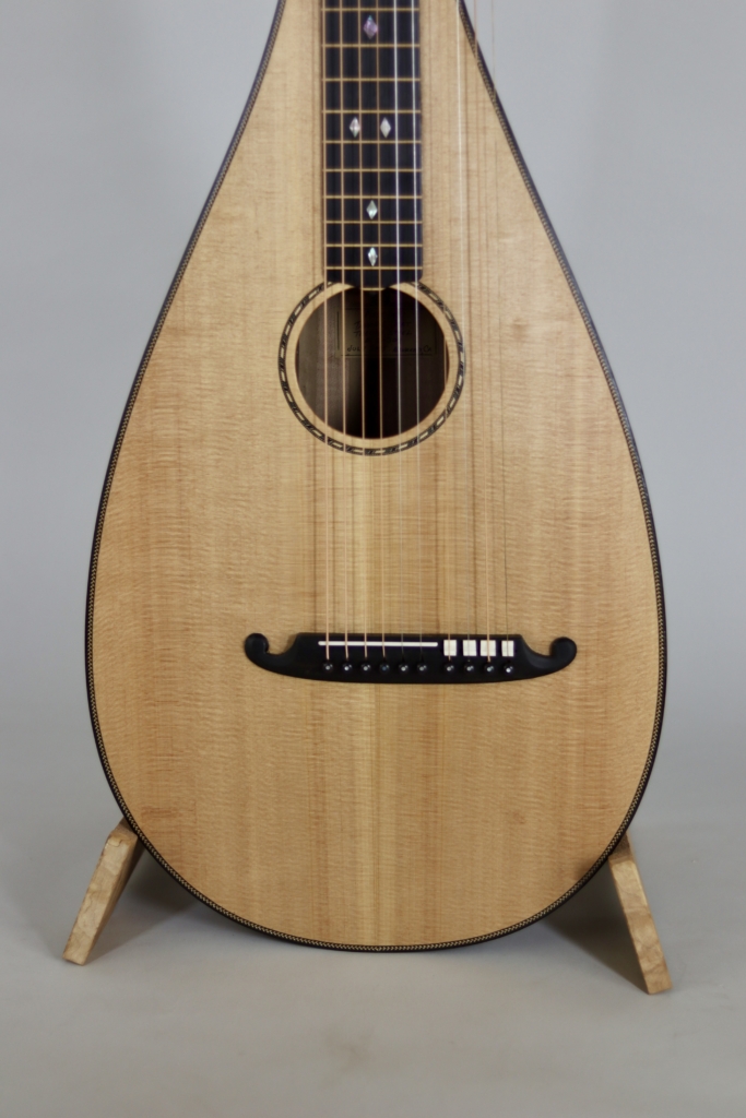 David Dart Theorbo Steel guitar (2025)