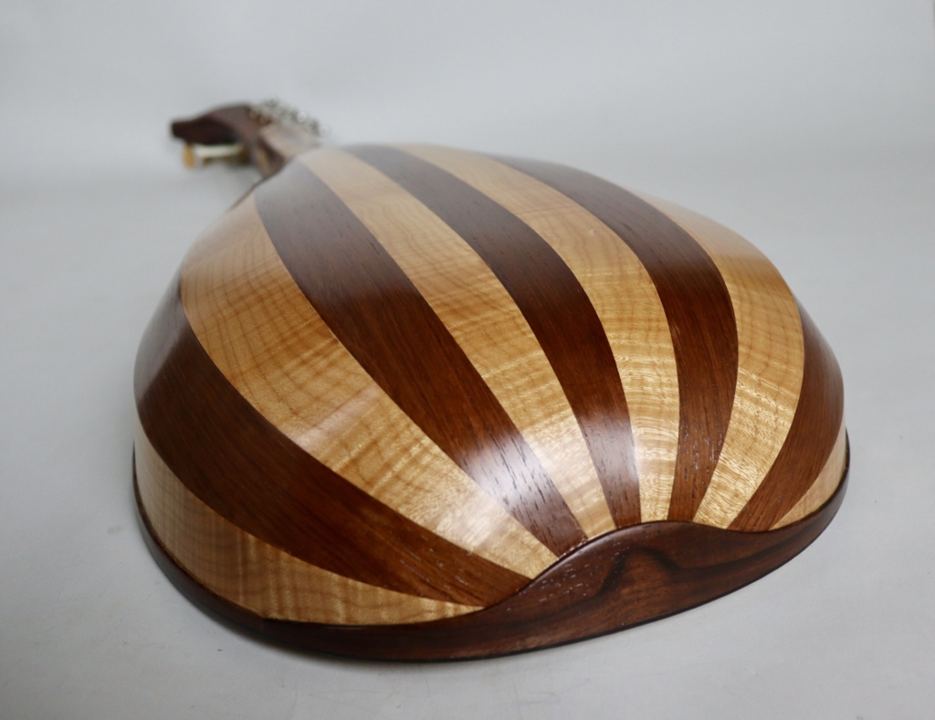 David Dart Theorbo Steel guitar (2025)