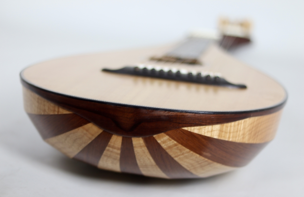 David Dart Theorbo Steel guitar (2025)