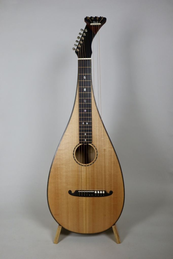 David Dart Theorbo Steel guitar (2025)