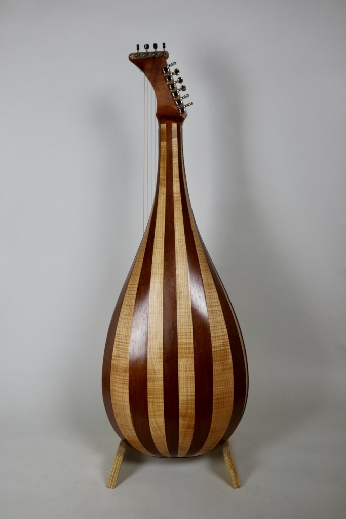 David Dart Theorbo Steel guitar (2025)