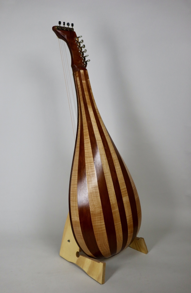David Dart Theorbo Steel guitar (2025)