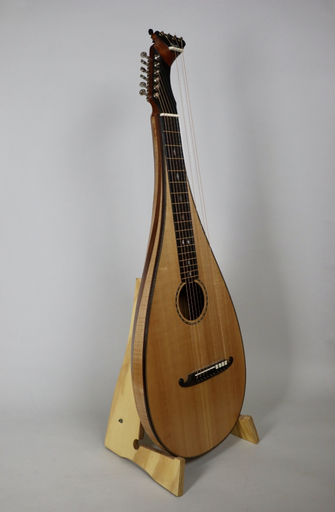 David Dart Theorbo Steel guitar (2025)